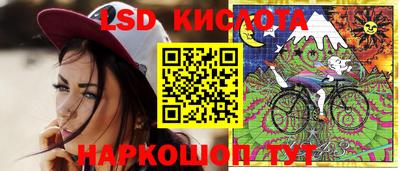 сатива Можга