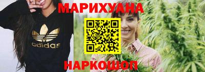 сатива Можга