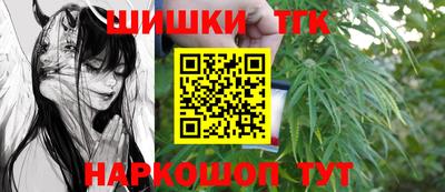 сатива Можга